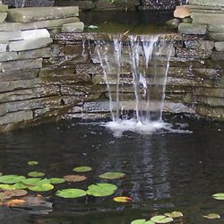 Winter Pond Prep Checklist - Article image
