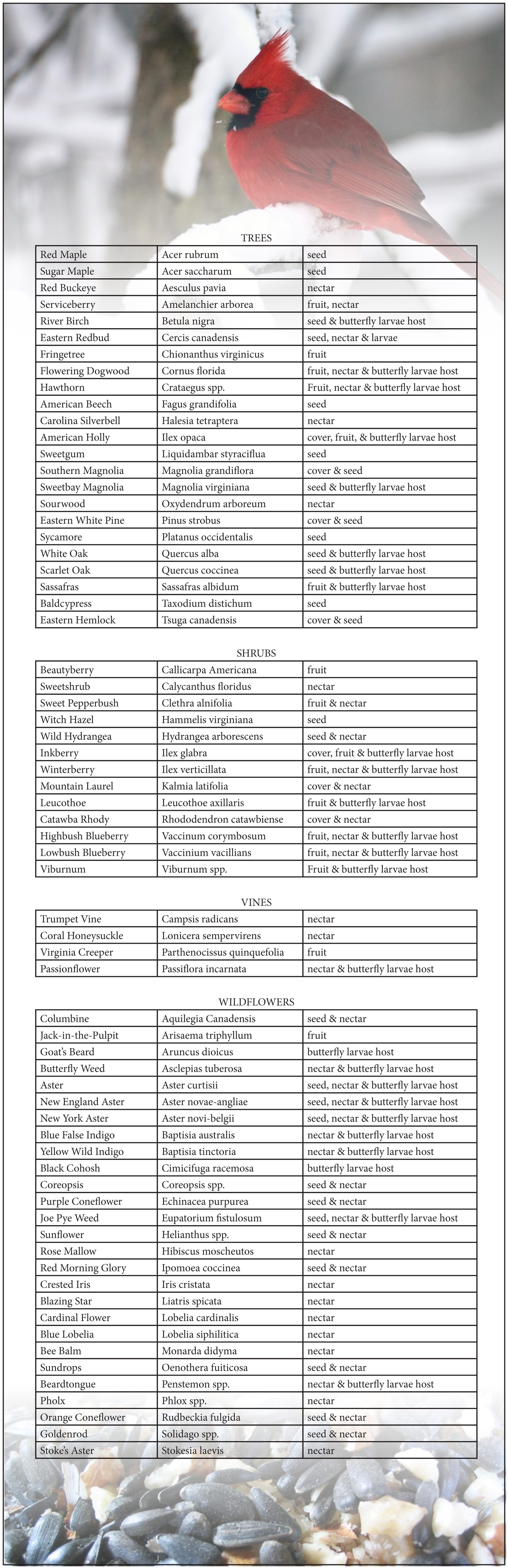 Family Gardening: Attracting Wildlife to the Garden - Article image